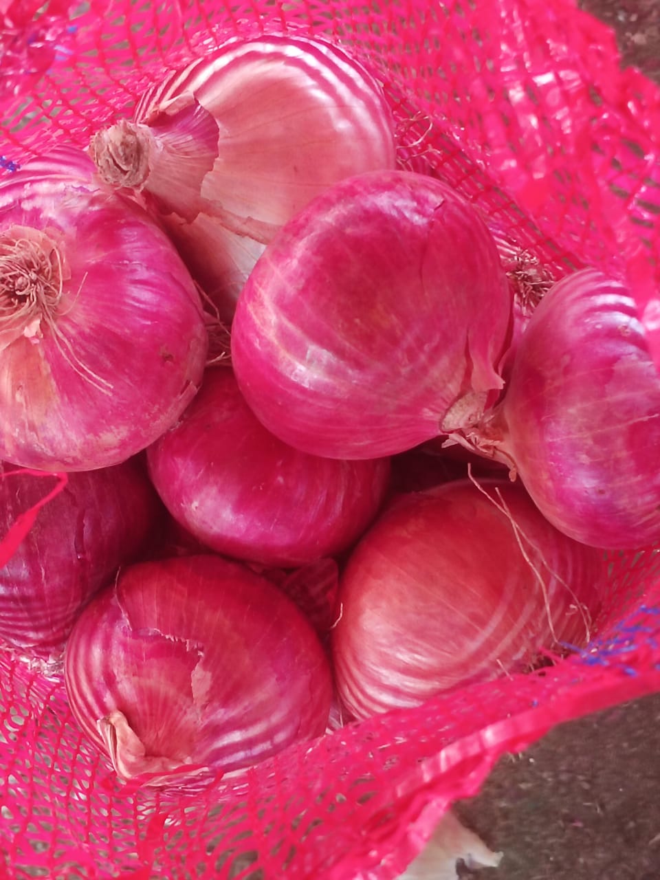 Red Onions