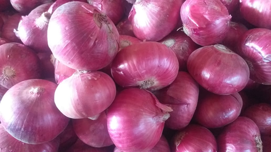 White Onions